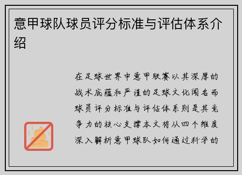 意甲球队球员评分标准与评估体系介绍